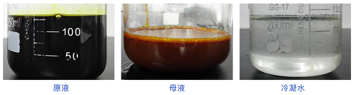 MMV水质实验测试对比图 MMV水质实验测试对比图