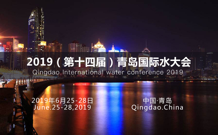 康景辉参加国际水大会 康景辉参加国际水大会
